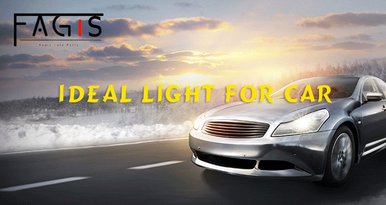 Halogen Bulb H11 Auto Lighting 12V 55W Manufacturer OEM  Long Lifespan Car Headlight