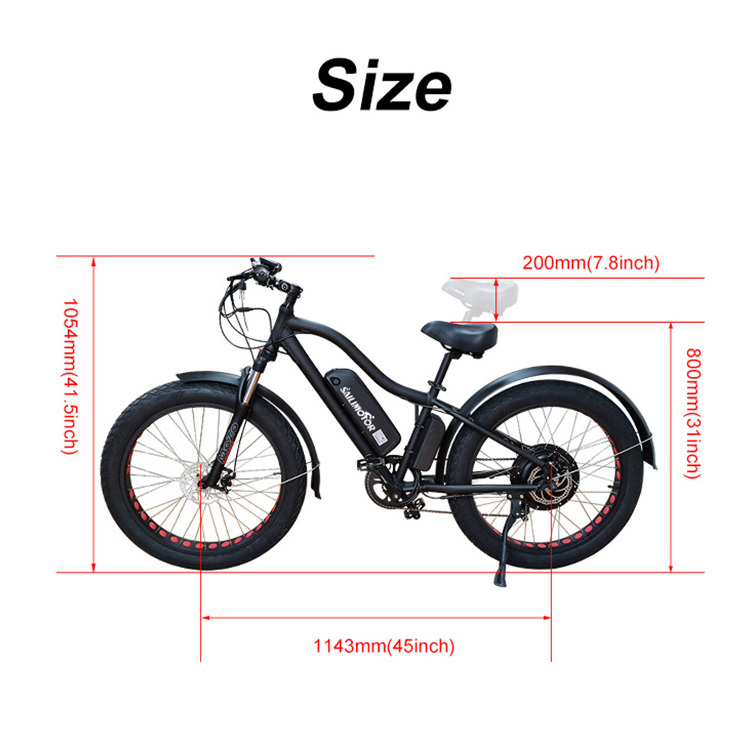 48v 750w Geared Hub Motor Fat Tyre 2 Wheel Ebike Mountain Bicycle Step Through Battery Warehouse Electric Bike