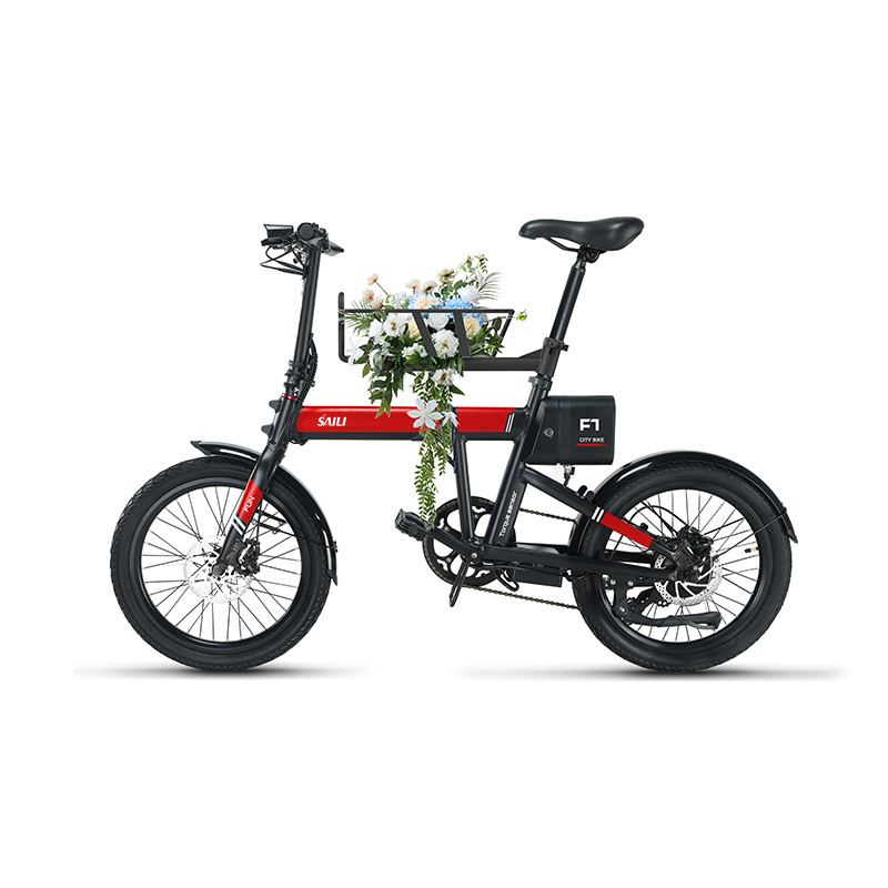 Engine Pro Electric Bike Bicycle Motorbike Exercise 36V 250W Electric City Bike E Bike Engwe Cargo Folding Ebike Cargo