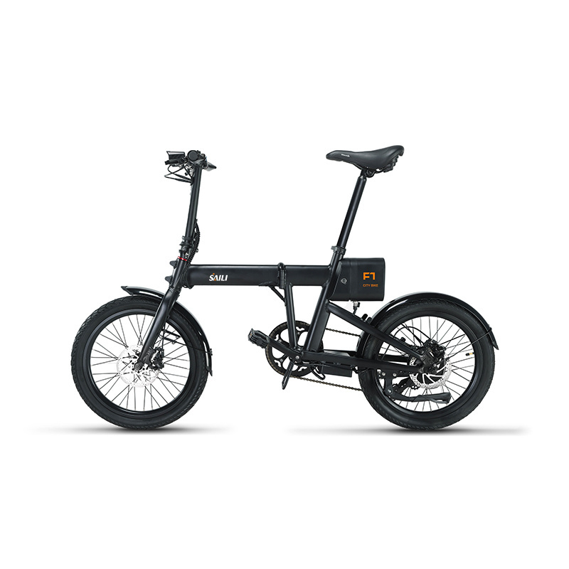 Engine Pro Electric Bike Bicycle Motorbike Exercise 36V 250W Electric City Bike E Bike Engwe Cargo Folding Ebike Cargo