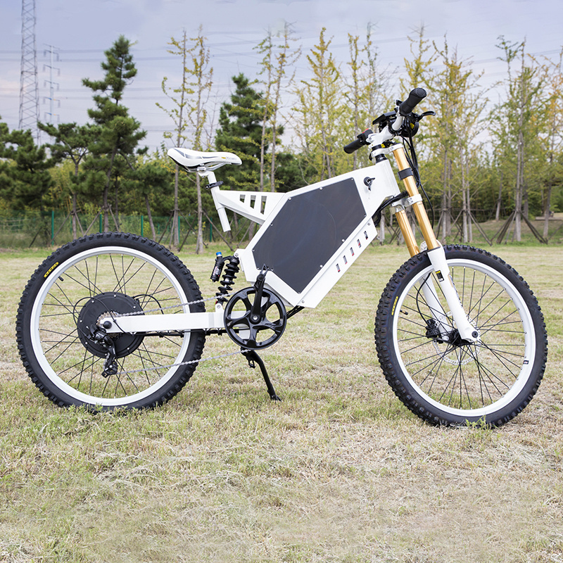 New listing electric hybrid bike 26*2.6 mountain fat tire ebike