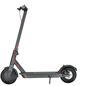 Hot Sales Offroad 10 Inch Rental Electric Scooter, High Power Retro Fast Speed Rion Electric Scooter