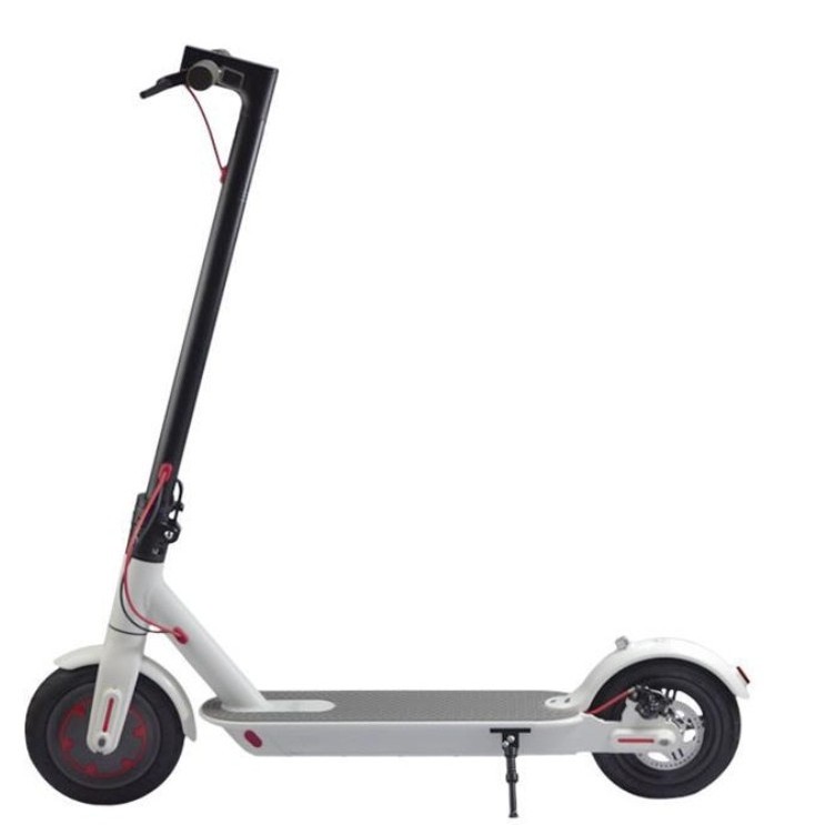 Hot Sales Offroad 10 Inch Rental Electric Scooter, High Power Retro Fast Speed Rion Electric Scooter