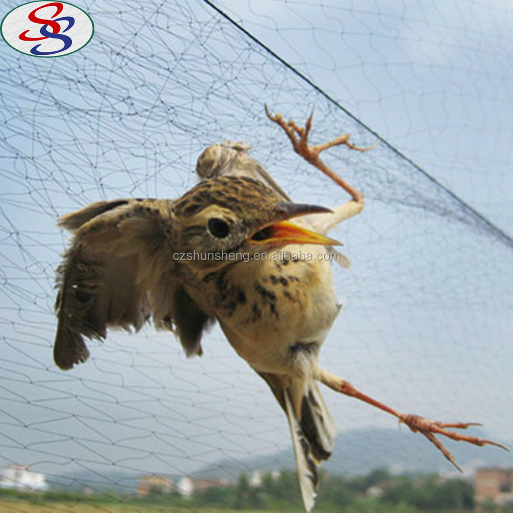 competitive price new hdpe material garden nets bird catching