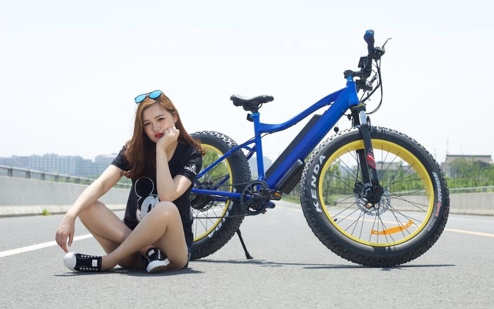 26 inch mtb/mountain fat tire electric bike/lightsome weight e bike ebike e-bike With Bottom Price mountain electric bike