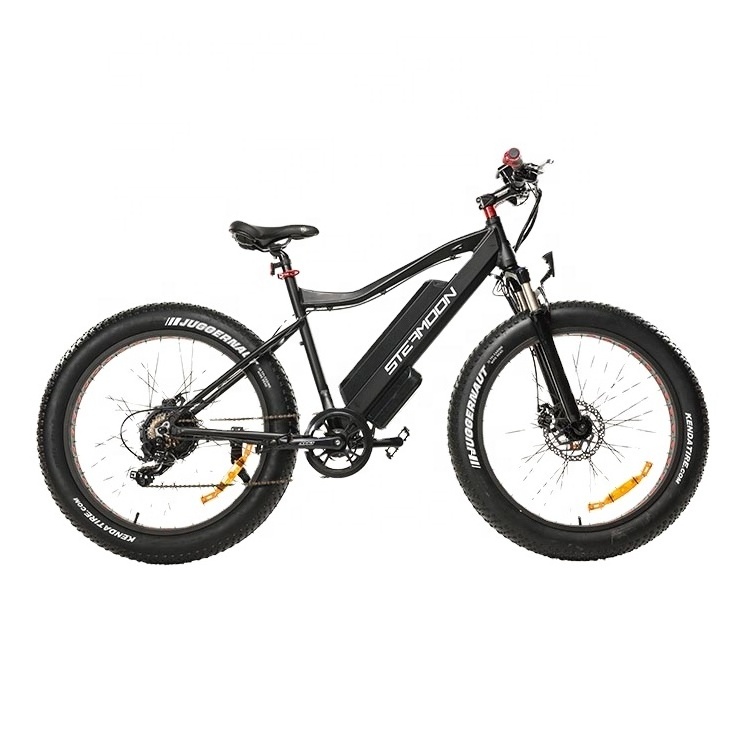 26 inch mtb/mountain fat tire electric bike/lightsome weight e bike ebike e-bike With Bottom Price mountain electric bike