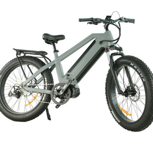 Dual battery 26 inch Aluminum frame mountain ebike fatbike mid drive Bafang M620 1000w electric bike e bike fat tire ebike