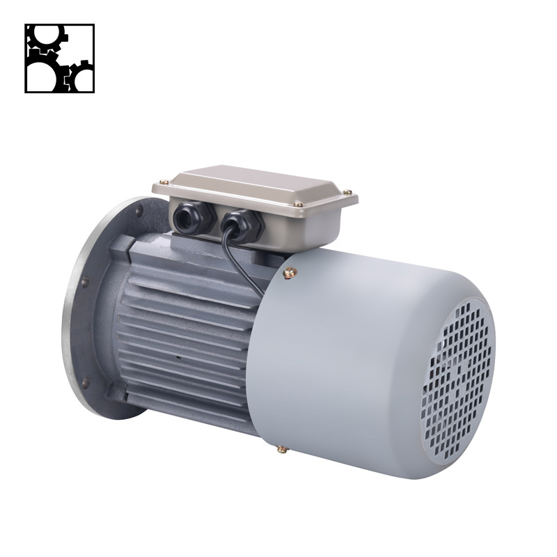 30KW 37KW 45KW 55KW 75KW YEJ Series Electric motor Brake induction 3 phase 50hp electric motor