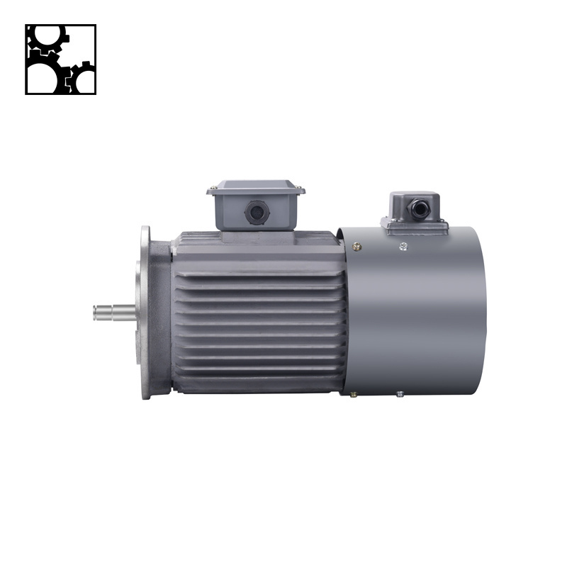 Yvp Series 18.5KW 22KEW 30KW 37KW 45KW IP54 380V 3~100Hz Frequency Conversion Speed Regulation Three Phase Asynchronous Motor