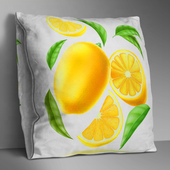 Custom printing cushion covers Fruit Handpainting Sofa Bed Double Sides Printing pillow cover Square velvet cushion covers