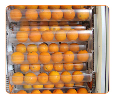 Full-day fresh orange juice vending machine for Shopping Mall