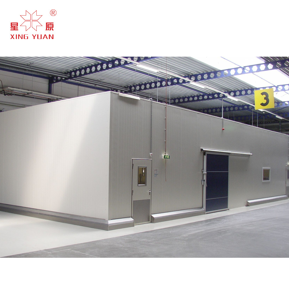 High quality customized cold room for fruits vegetables meet freezer cold room chiller for sale made in china