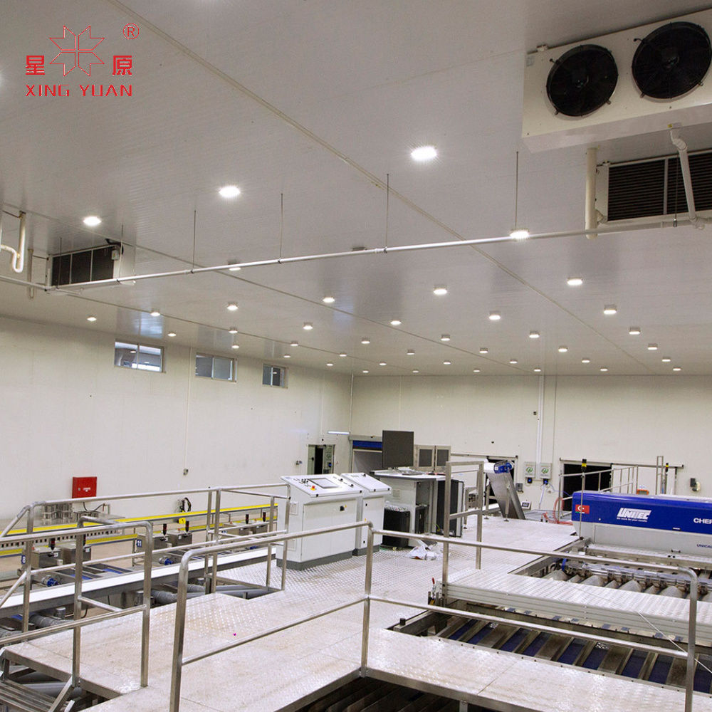 High quality customized cold room for fruits vegetables meet freezer cold room chiller for sale made in china