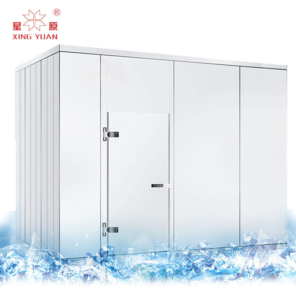 Walk In Freezer For Fish / Refrigerators/ Cold RoomFactory Made ice block cakes cold room refrigerator freezer with blast freeze