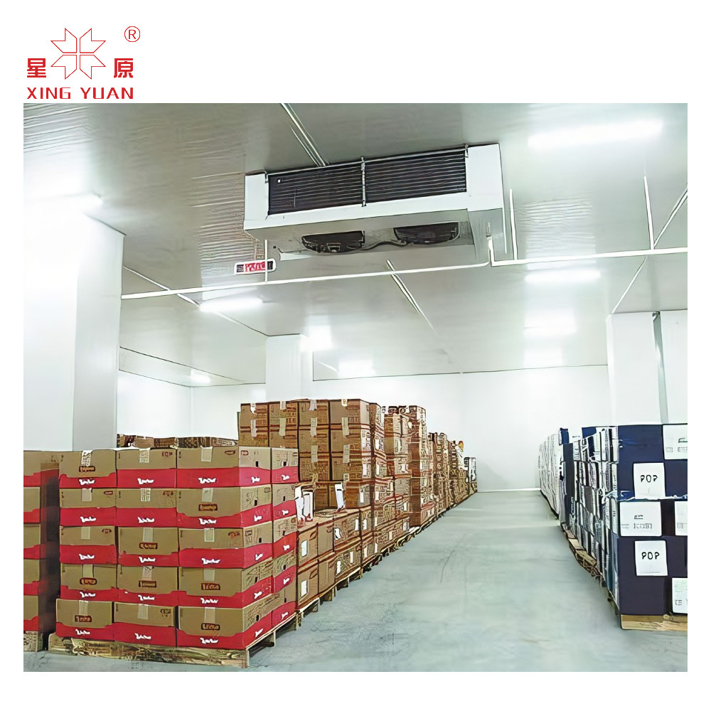 20ft motor commercial refrigerated equipment cold room freezer price for sale