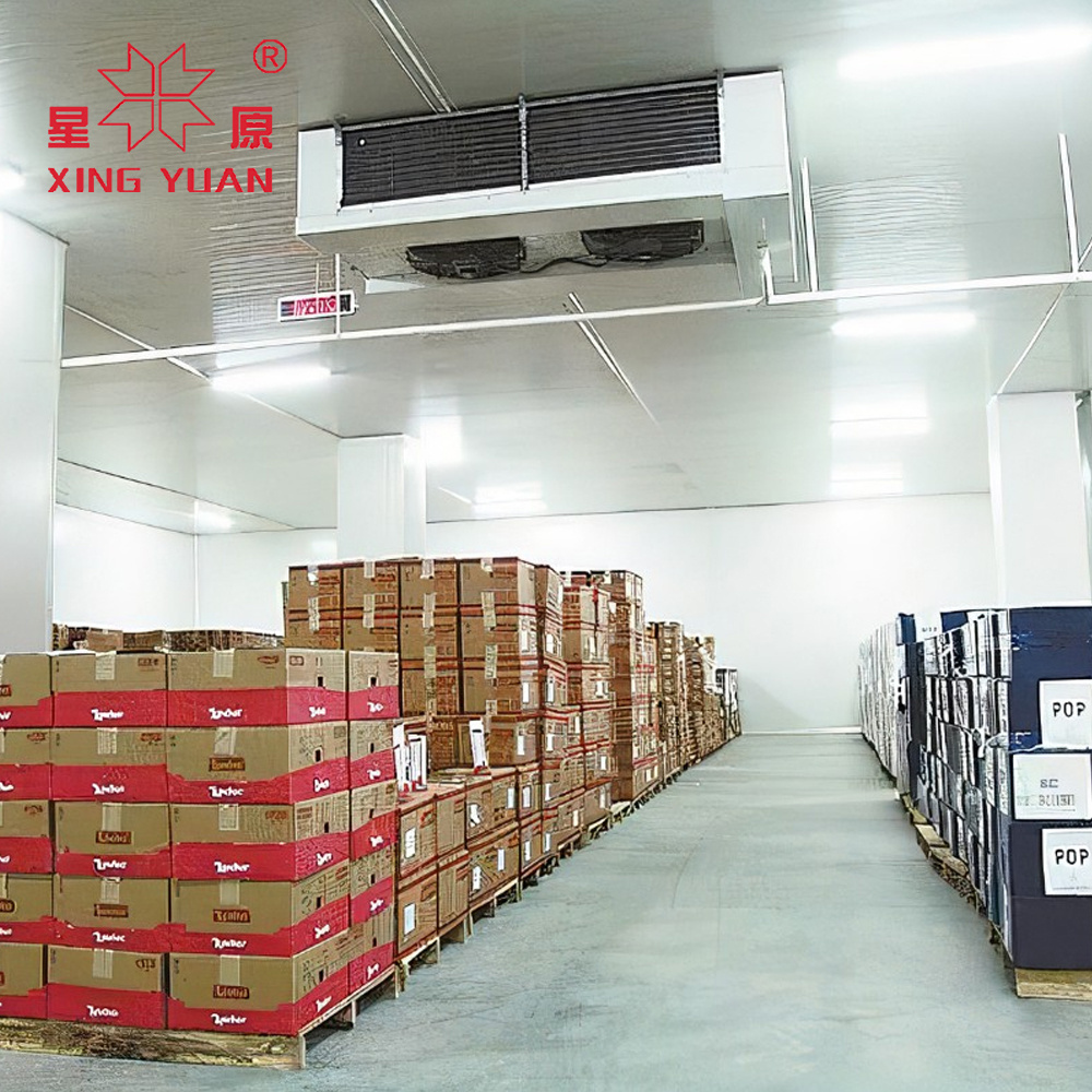 Customized Commercial Deep Fruit Vegetable Meat Storage Manufacturer Walk In Refrigerator Cold Room Chiller Cooler Freezer