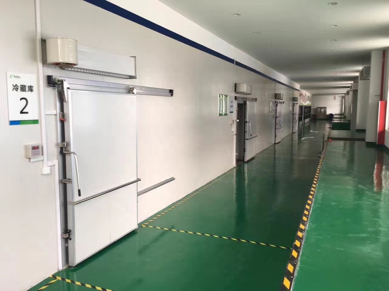 500T fruit and vegetable cold storage room price