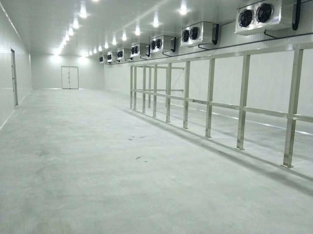 500T fruit and vegetable cold storage room price