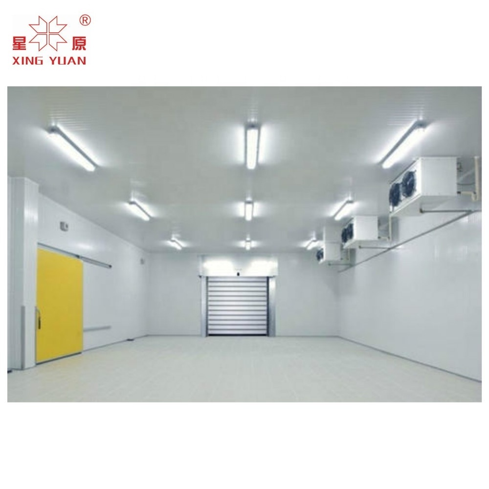 500T fruit and vegetable cold storage room price