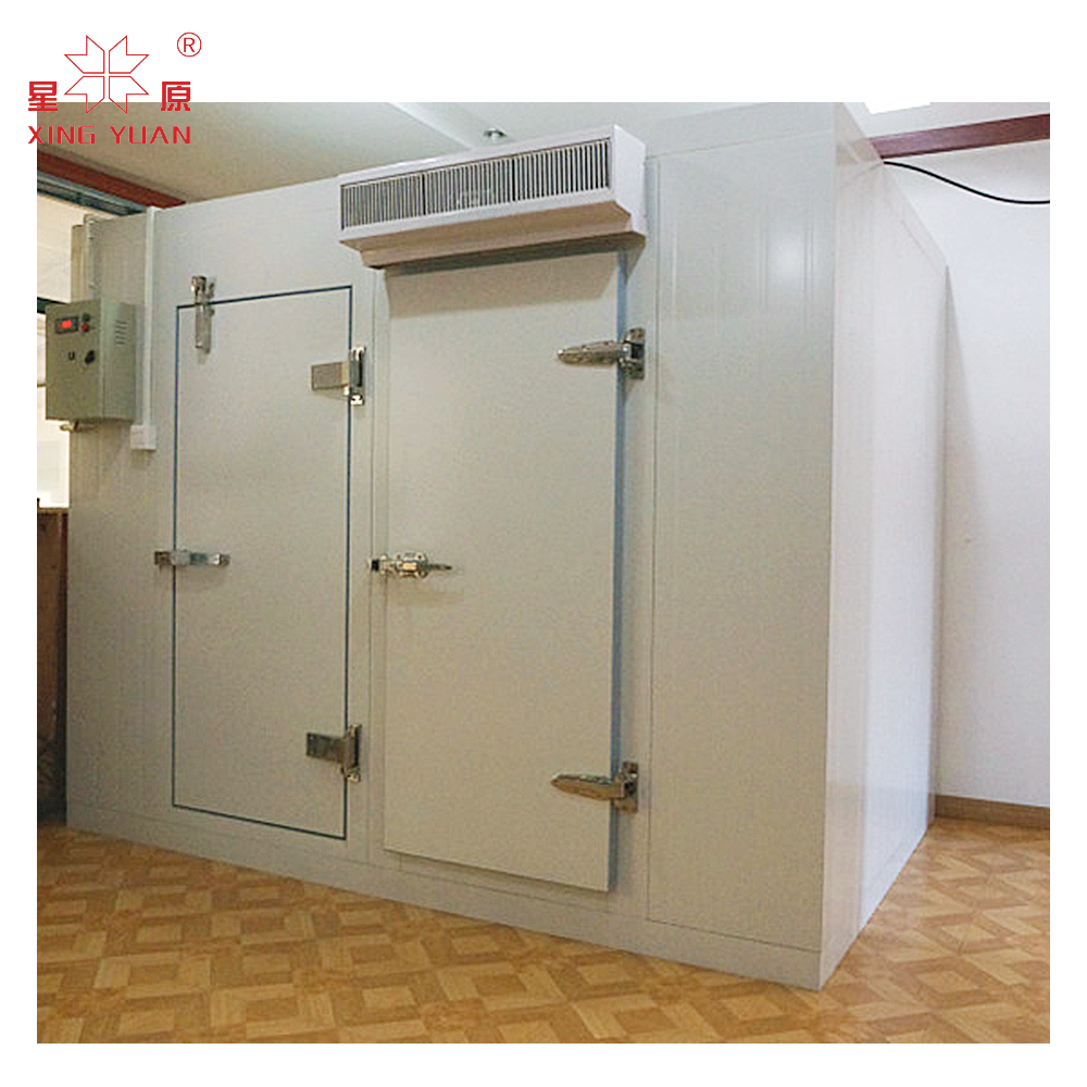 High Quality & Best Price quick freezer cooling room cold storage freezer small walk in freezer room