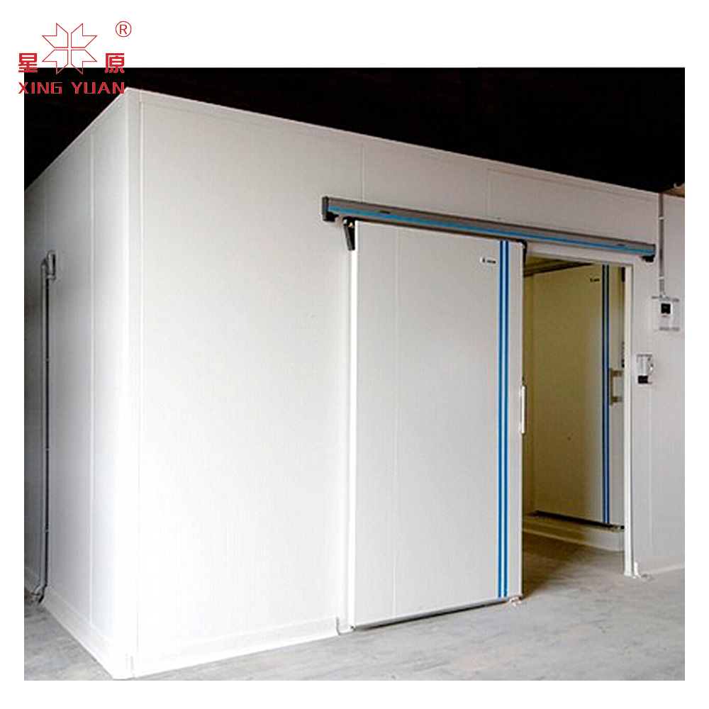 High Quality & Best Price quick freezer cooling room cold storage freezer small walk in freezer room