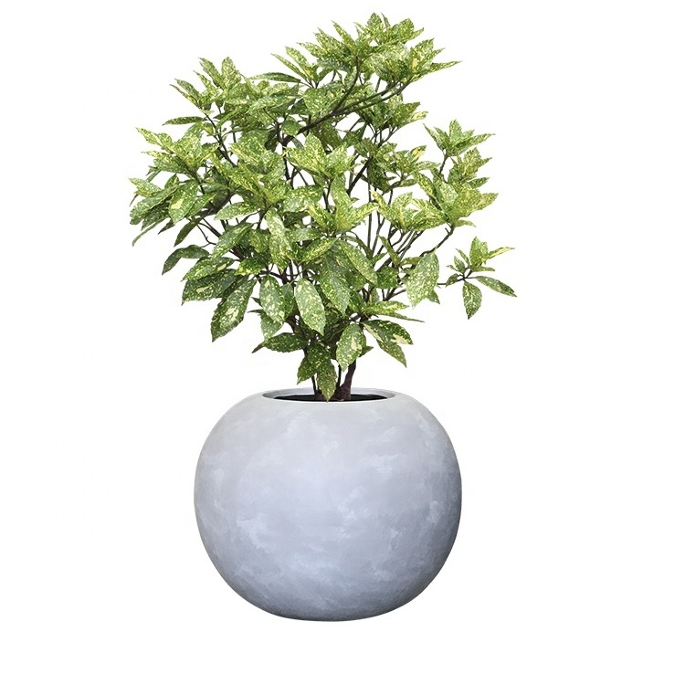 Fiberglass round shape large flower pots with custom sphere outdoor clay flower pots with classic green plants