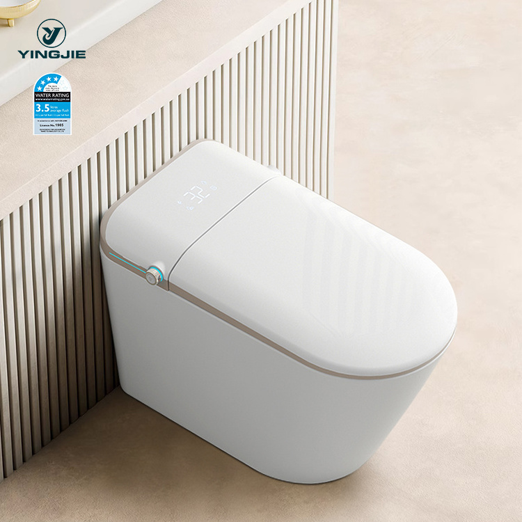 foshan inteligente inodoro  electric smart intelligent auto washing bidet wc toilet