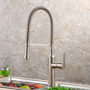 Hot Selling Fashionable Flexible Sink Kitchen Faucet With Spring Pull Down Spray Head