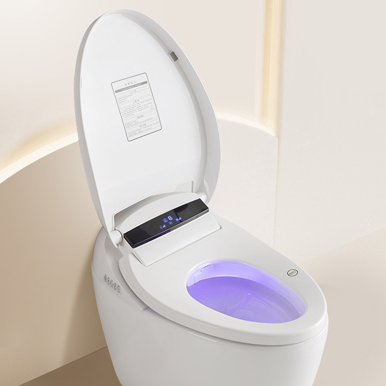 The Eco-Intelligent Omega Multi-Function Smart Toilet with Seat Temperatures,Integrated Water and Energy Management