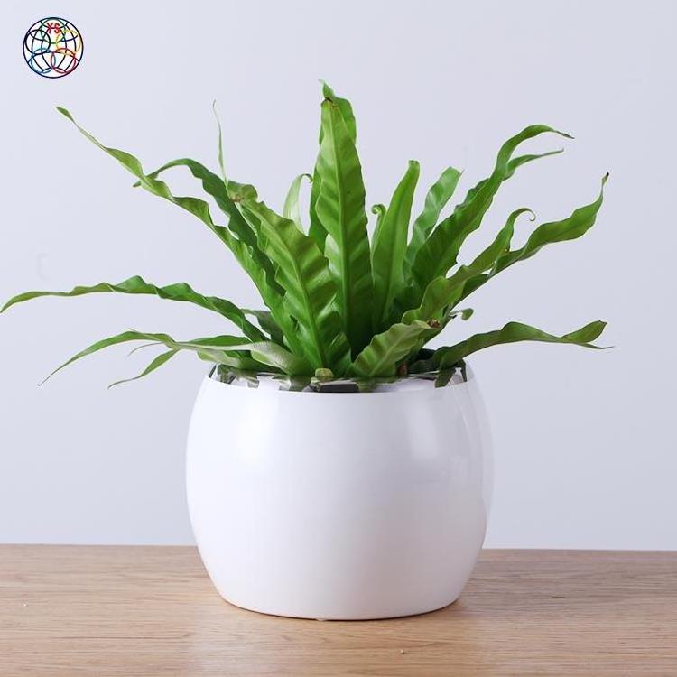 White silver glazed pottery planter outdoor tall wholesale planters and cheap flower pots for sale