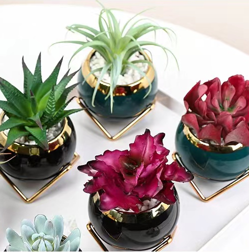 Creative garden succulent pot home balcony mini ceramic round cactus plant flower pots with metal stand