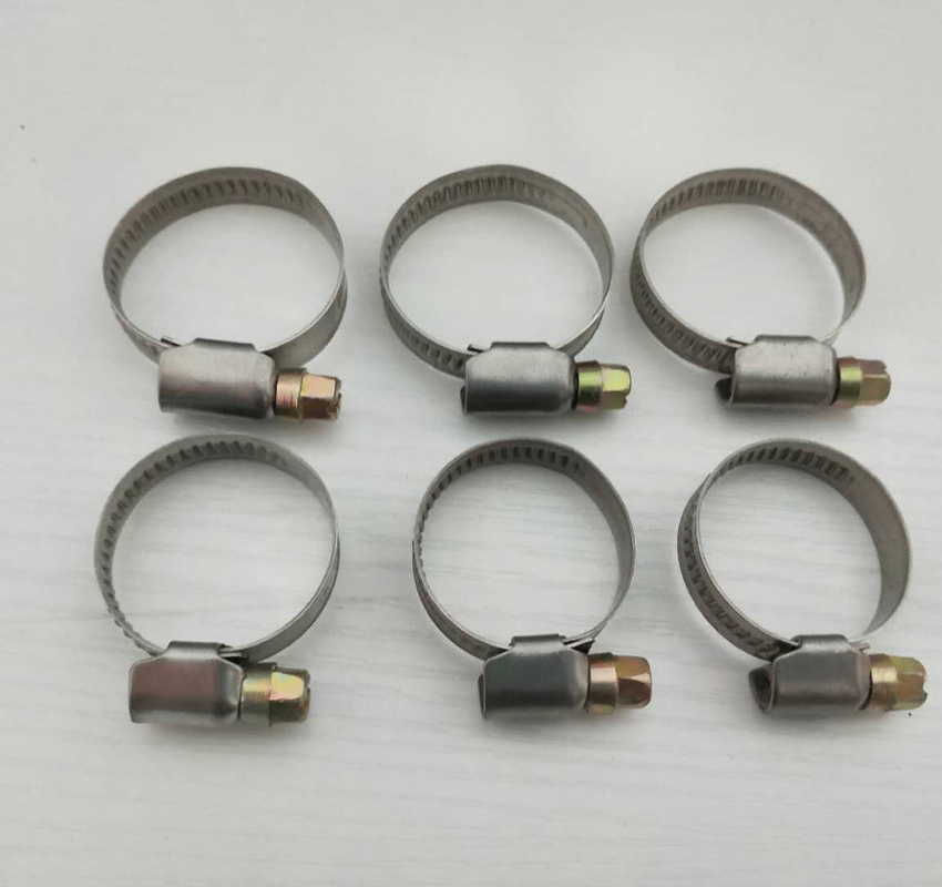 Customize Bandwidth 9/12mm Size 8-200mm Hose Clamps for Pipe Tube Locking Ring Hoops Hardware Metal Tray Plate Bracket Clips