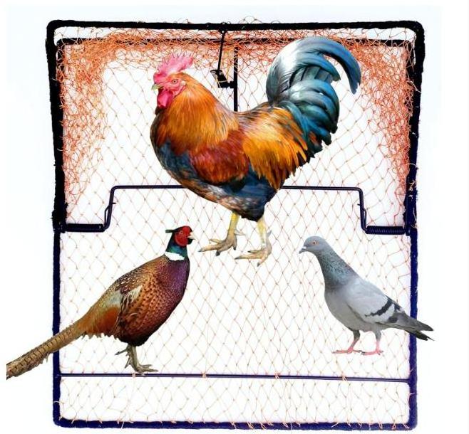 Bird Trap Pigeon Sparrow Quail Starling Chicken Cat Rabbit Live Animal Control Spring Traps Snares for Trapping