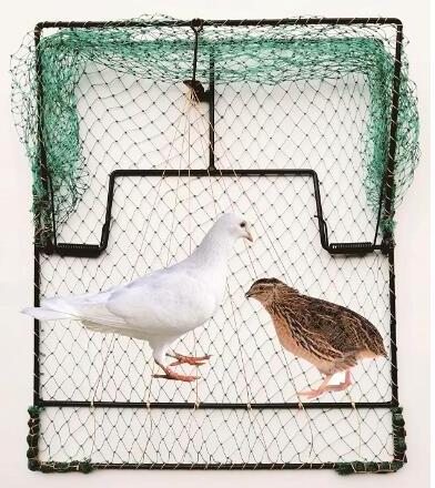 Humane Mesh Live Catch Bird Sparrow Capture Trap Netting Animal Hunting Control