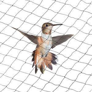 Low Price Anti-bird Nets Agricultural Vegetable Garden Anti-Bird Netting Rose Bud Anti Birds Proof Net For Agro Safety