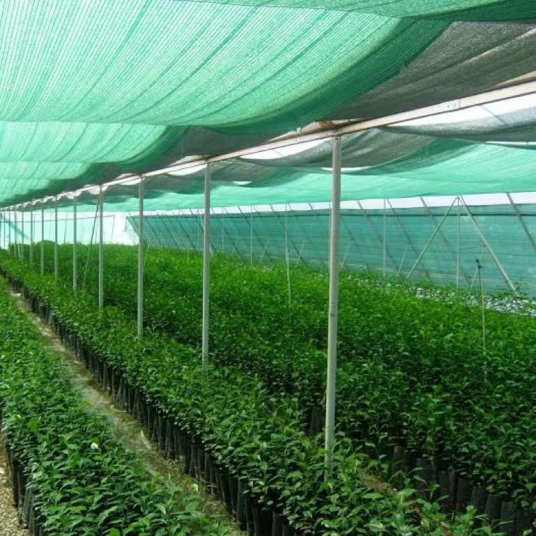 Shading Net Garden Outdoor Mono HDPE High Quality Sun shade Nets Vegetable Greenhouse Shading Plastic Net