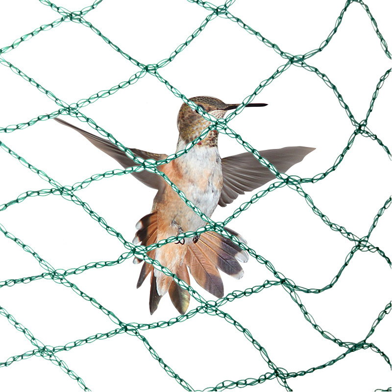 Bird Control Nets Support Pillars Plastic Bop Netting Anti Hail Birds Net for Vineyard Orchard