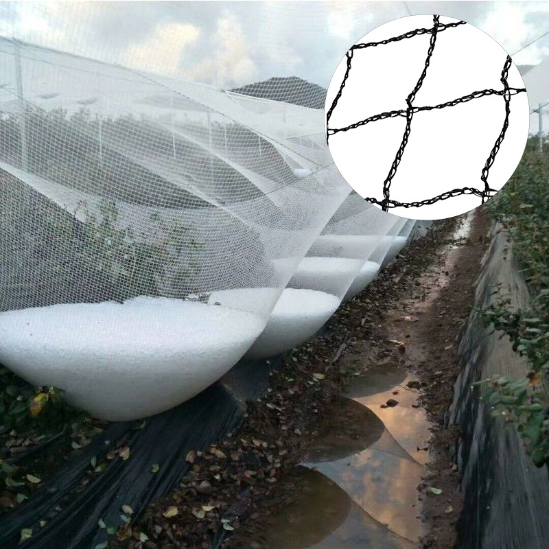 Anti-Hail Net Pest Resistant Crops Protect Apple tree Anti Hail Net fruit trees Orchard Vineyard PE anti hail net