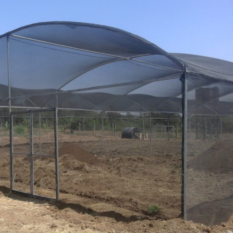 Fire Proof Tent Fabric Low Cost Shade Net House 80 90% Shading Net Fish Farm