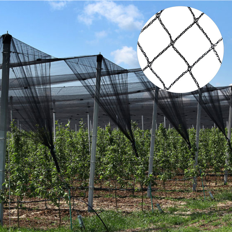 Anti-Hail Net Pest Resistant Crops Protect Apple tree Anti Hail Net fruit trees Orchard Vineyard PE anti hail net