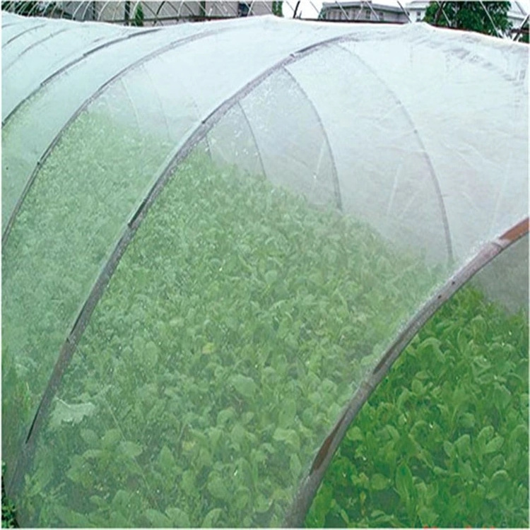 Customized Anti Insect Mesh Nets Fruit Tree Covers Olive Hdpe Monofilament Net Vegetation Protection Plastic Anti-Insect Netting