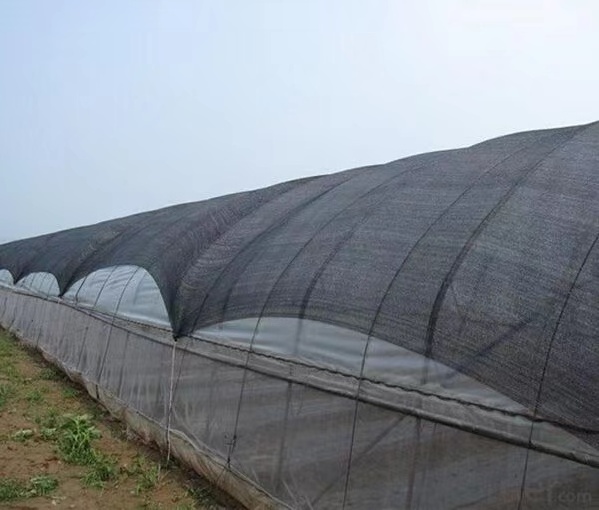 Shading Net Garden Outdoor Mono HDPE High Quality Sun shade Nets Vegetable Greenhouse Shading Plastic Net