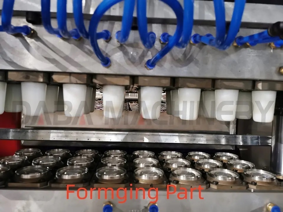 Vacuum one time Plastic Cup Manufacturing making machine of making disposable glass making machine PS of plastic