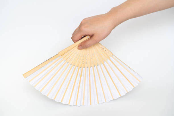 Custom Handle Promotion Customized Design Mini Plastic Pp Hand Fan Classic Plastic hand fan