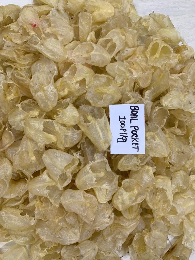 Fish Air Bladder 100% Natural Sun Dried Boal fish Maw wild caught  Swim Bladder natural Sea Fish Glue from Bangladesh