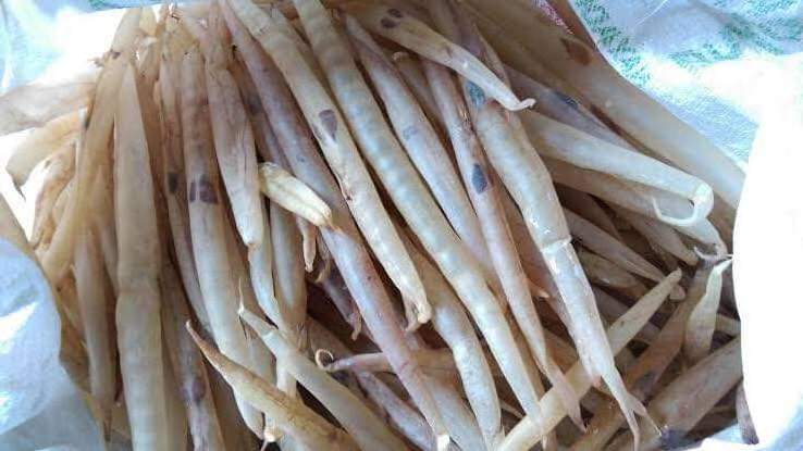 100% Natural Dried Top Quality EEL fish Maw  Sea fish Food wild caught 100% natural fish maw from Bangladesh