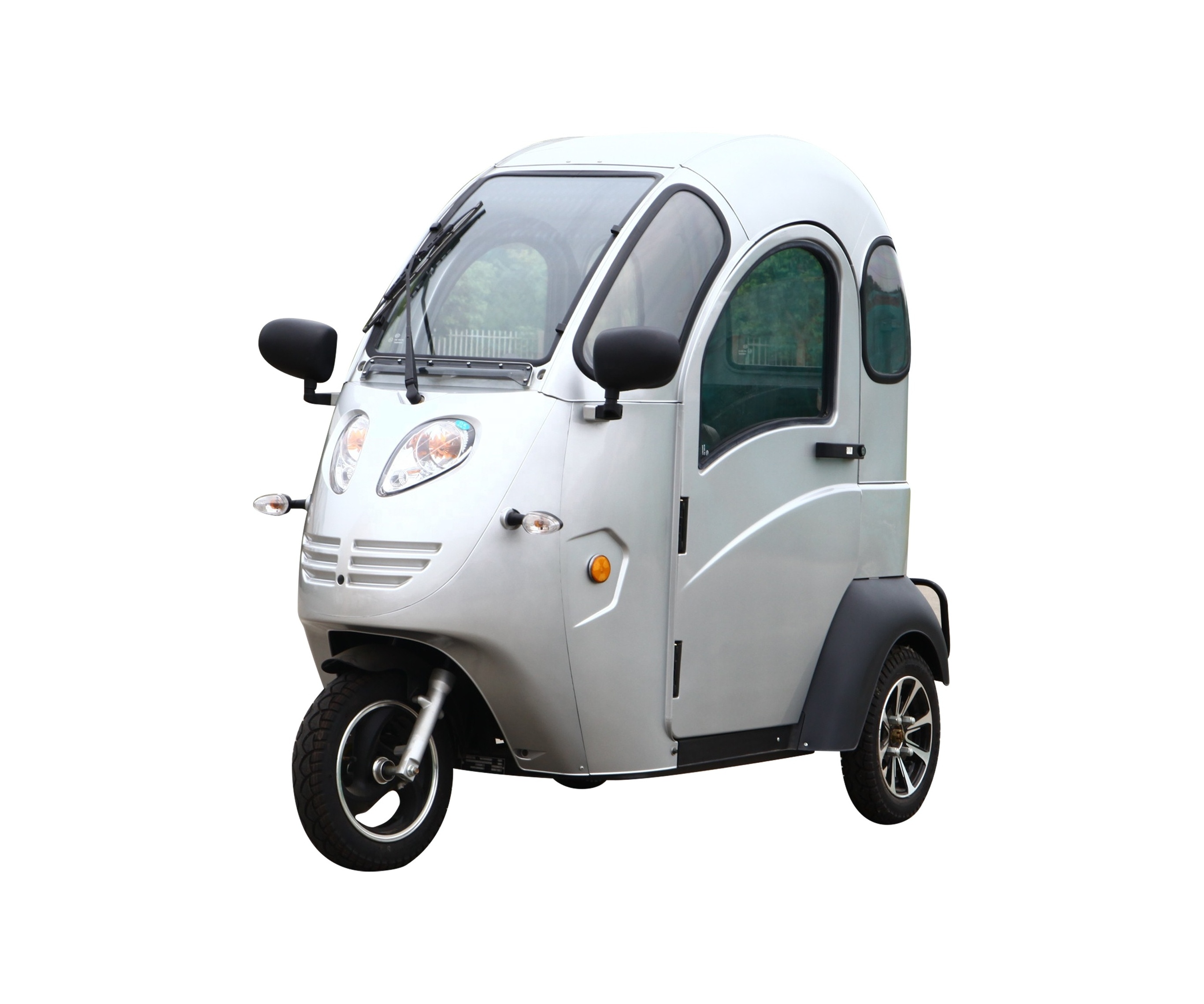 2020 Regal Raptor 800W electric tricycle for adults or passengers scenic sightseeing bus/motorised tricycle