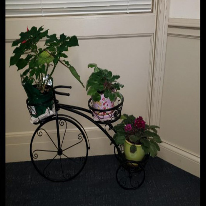 Flower Pot Cart Holder or Whimsical Parisian Style Tricycle Plant Stand for Garden