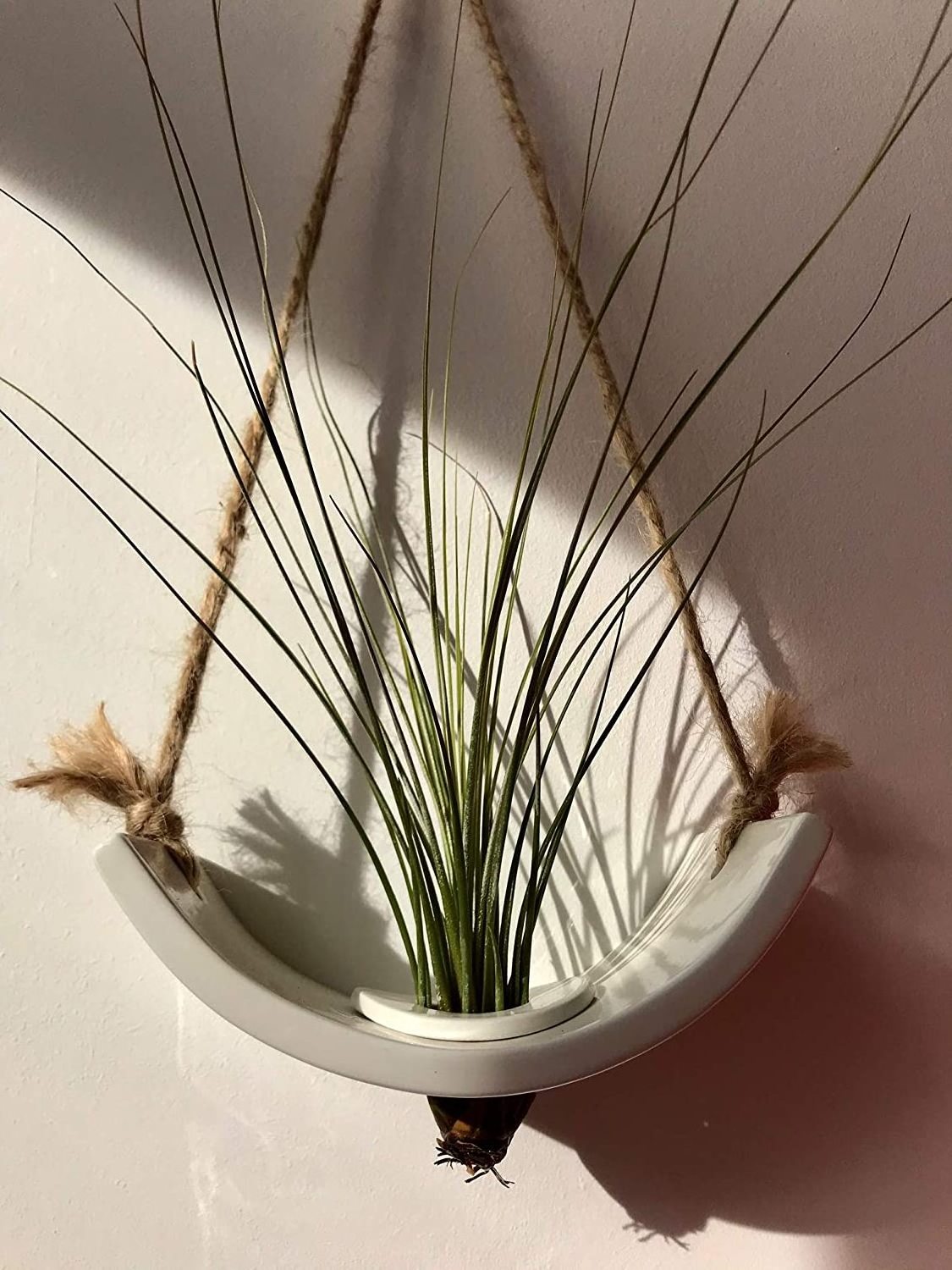 White Glossy Glazed Ceramic Indoor Air plant Holder with Jute Rope Hanging Cord. An Ideal Wall Hanger for Tillandsia Air Plants