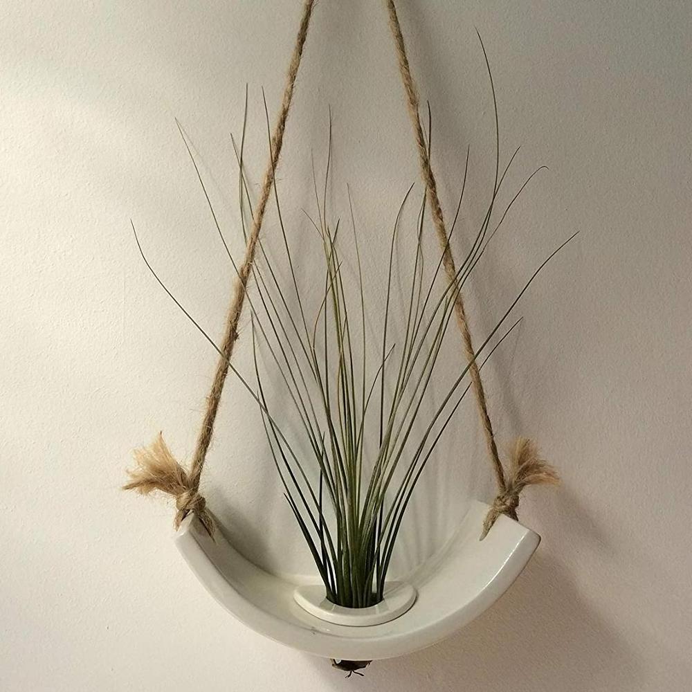 White Glossy Glazed Ceramic Indoor Air plant Holder with Jute Rope Hanging Cord. An Ideal Wall Hanger for Tillandsia Air Plants